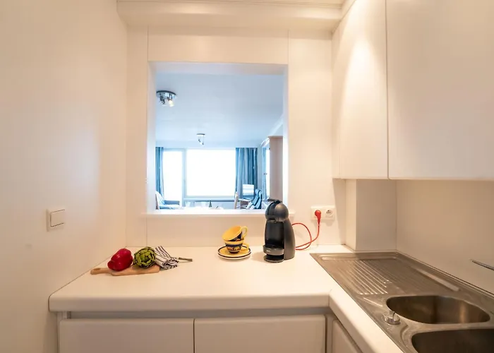 公寓 Seaview Getaway Belgium By Interhome 布兰肯贝赫